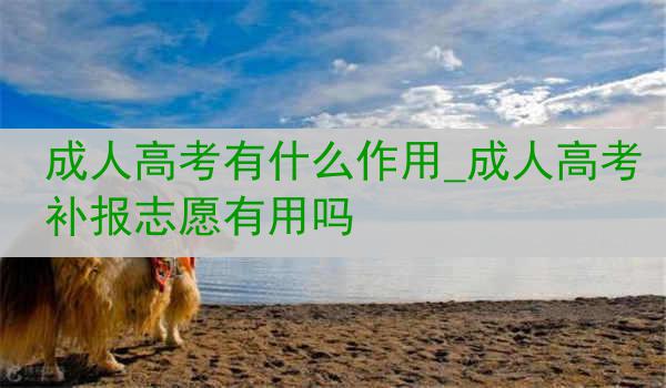 成人高考有什么作用_成人高考补报志愿有用吗