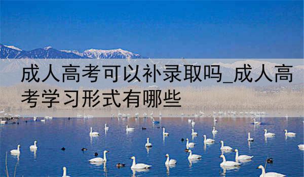 成人高考可以补录取吗_成人高考学习形式有哪些