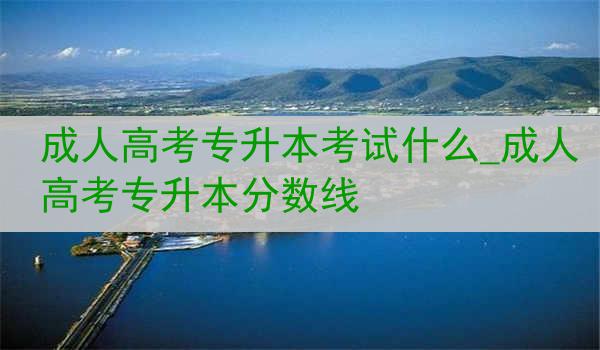 成人高考专升本考试什么_成人高考专升本分数线