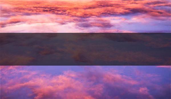 成人高考成绩不达标怎么办_成人高考难还是统招专升本难些