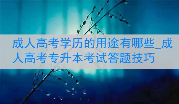 成人高考学历的用途有哪些_成人高考专升本考试答题技巧