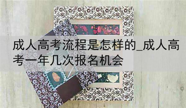 成人高考流程是怎样的_成人高考一年几次报名机会