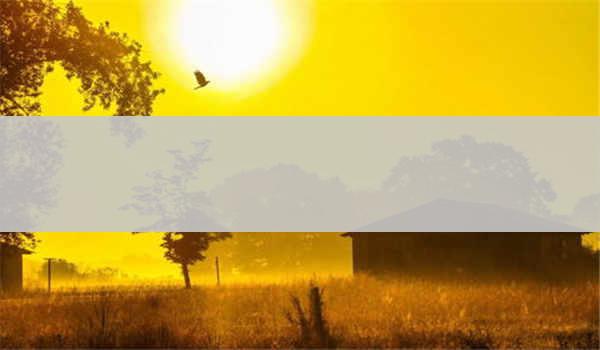 成人高考几月份开始报名考试_成人高考本科学历能直接考研吗