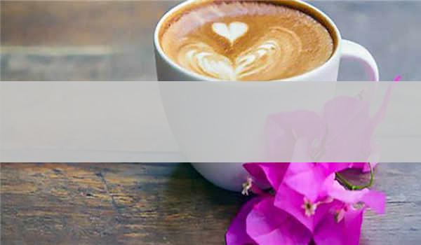 成人高考专升本可以报考哪些学校_成人高考专升本可以报考什么专业