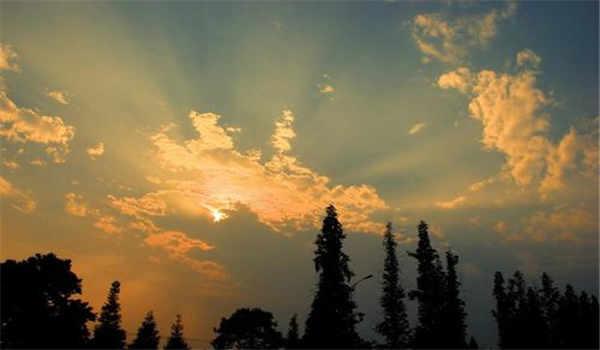 成人高考学费多少_成人高考成绩多少算过