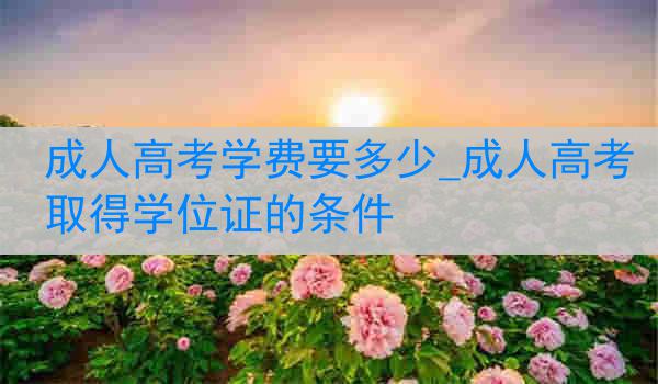 成人高考学费要多少_成人高考取得学位证的条件