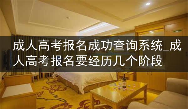 成人高考报名成功查询系统_成人高考报名要经历几个阶段