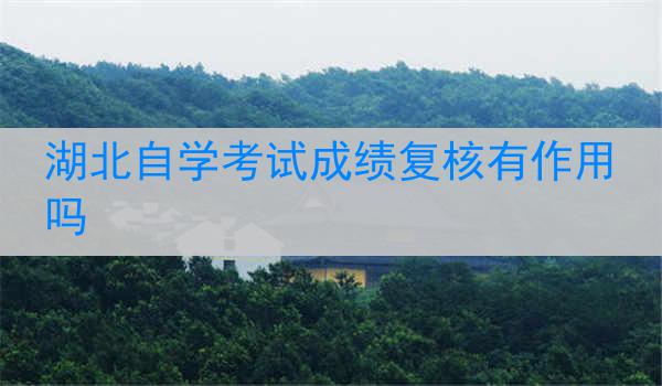 湖北自学考试成绩复核有作用吗