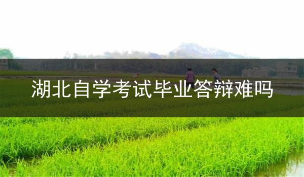 湖北自学考试毕业答辩难吗