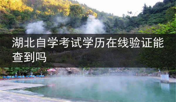 湖北自学考试学历在线验证能查到吗