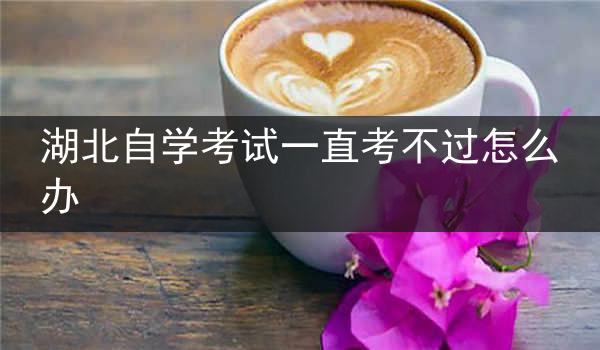 湖北自学考试一直考不过怎么办