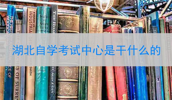 湖北自学考试中心是干什么的