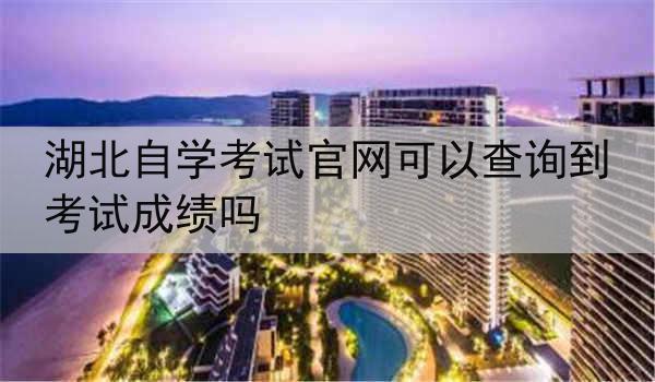 湖北自学考试官网可以查询到考试成绩吗