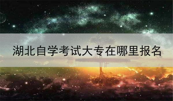 湖北自学考试大专在哪里报名