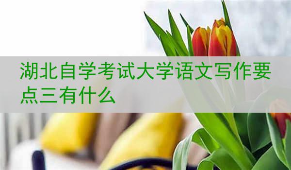 湖北自学考试大学语文写作要点三有什么