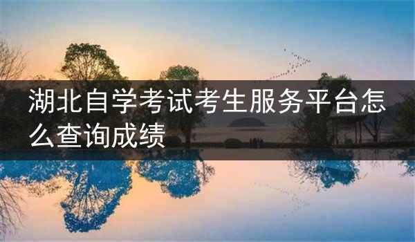 湖北自学考试考生服务平台怎么查询成绩