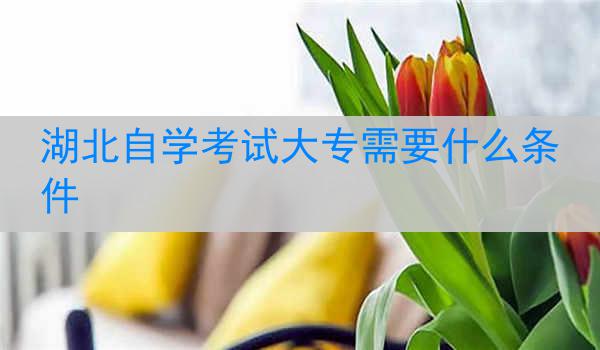 湖北自学考试大专需要什么条件