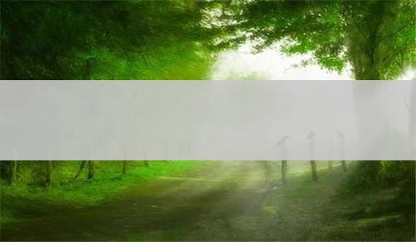 湖北自学考试本科和函授本科有什么区别吗？哪个含金量更高