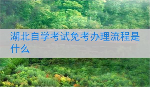 湖北自学考试免考办理流程是什么