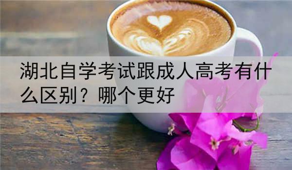 湖北自学考试跟成人高考有什么区别？哪个更好