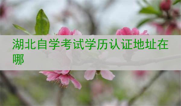 湖北自学考试学历认证地址在哪