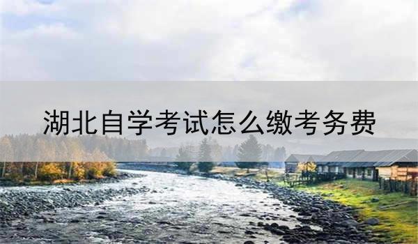 湖北自学考试怎么缴考务费