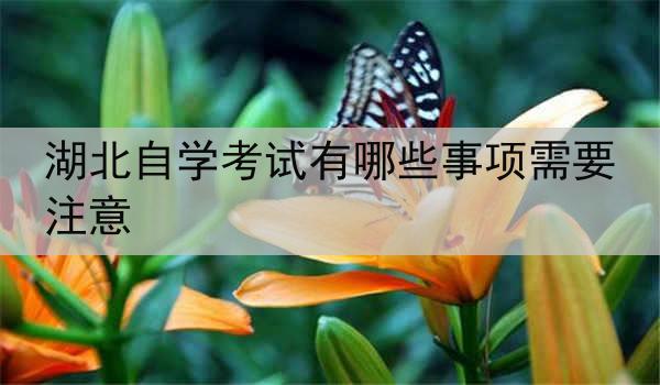 湖北自学考试有哪些事项需要注意