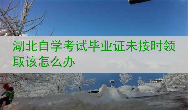 湖北自学考试毕业证未按时领取该怎么办