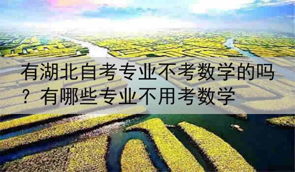 有湖北自考专业不考数学的吗？有哪些专业不用考数学