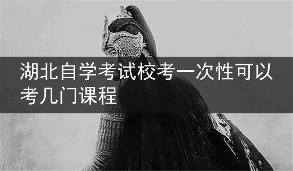 湖北自学考试校考一次性可以考几门课程