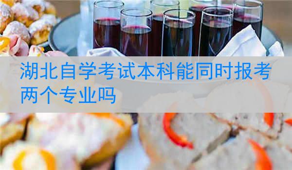 湖北自学考试本科能同时报考两个专业吗