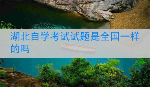 湖北自学考试试题是全国一样的吗
