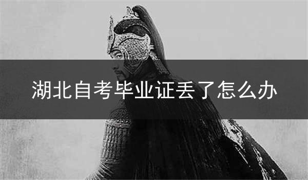 湖北自考毕业证丢了怎么办