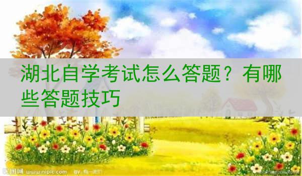 湖北自学考试怎么答题？有哪些答题技巧