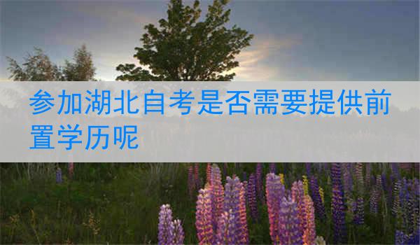 参加湖北自考是否需要提供前置学历呢