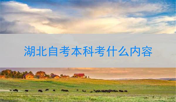 湖北自考本科考什么内容