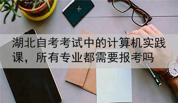 湖北自考考试中的计算机实践课，所有专业都需要报考吗
