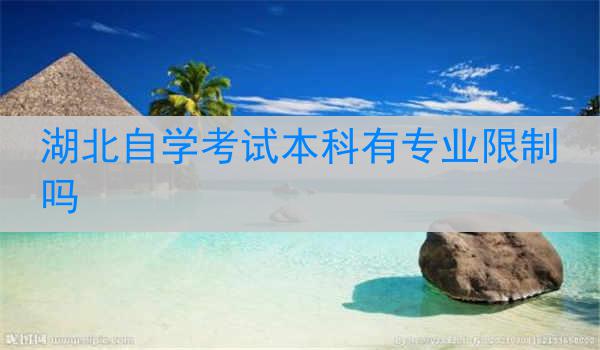 湖北自学考试本科有专业限制吗