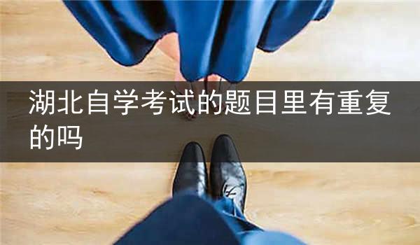 湖北自学考试的题目里有重复的吗