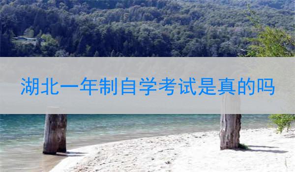 湖北一年制自学考试是真的吗