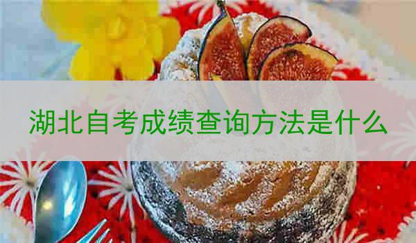 湖北自考成绩查询方法是什么