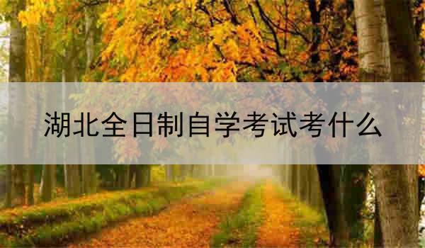 湖北全日制自学考试考什么