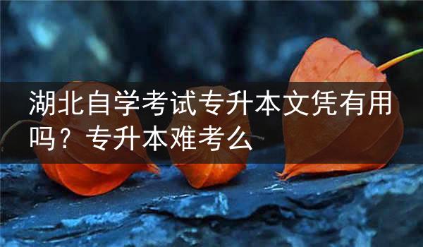 湖北自学考试专升本文凭有用吗？专升本难考么