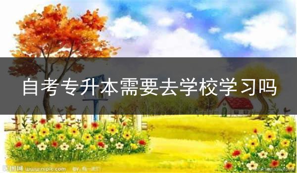 自考专升本需要去学校学习吗