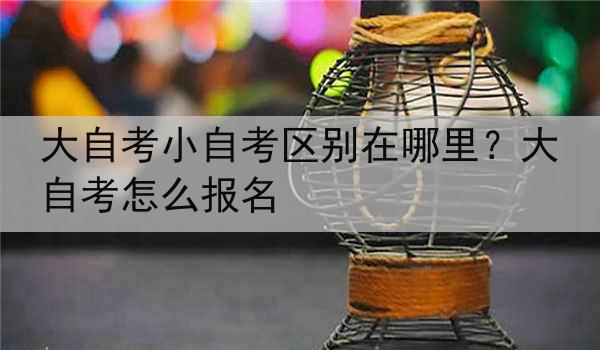 大自考小自考区别在哪里？大自考怎么报名
