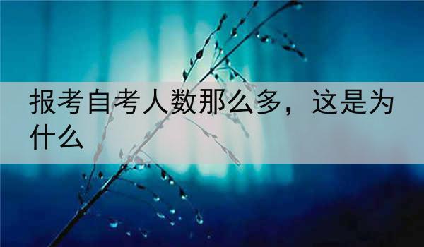 报考自考人数那么多，这是为什么