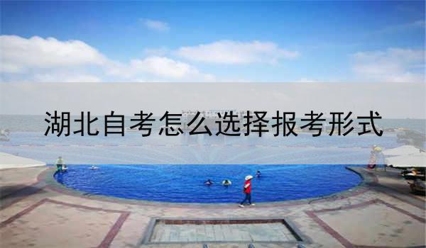 湖北自考怎么选择报考形式