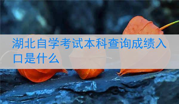湖北自学考试本科查询成绩入口是什么