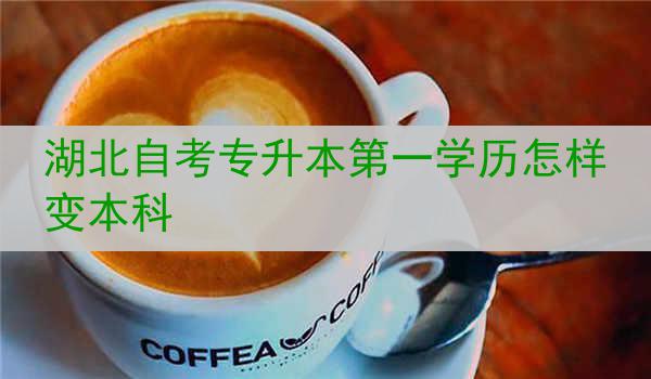 湖北自考专升本第一学历怎样变本科