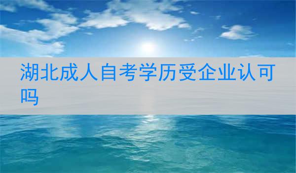 湖北成人自考学历受企业认可吗